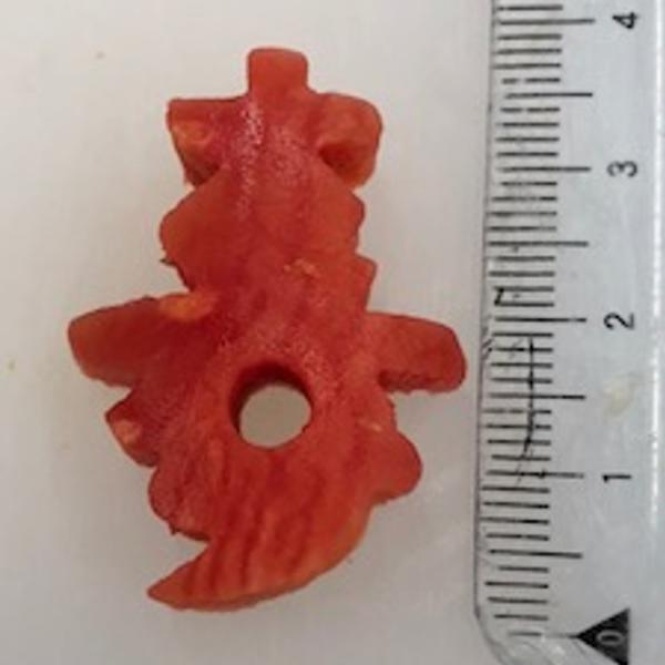 《商品説明》赤色が鮮やかな金時人参を使用しています。お祝いやおせちの演出にお使い下さい。1個サイズは3.5X2.5X1.3cm、4〜5ｇです。です。1袋に50個、約225ｇ入っています。1ケースは20袋です。金時人参は例年早期に売り切れます...