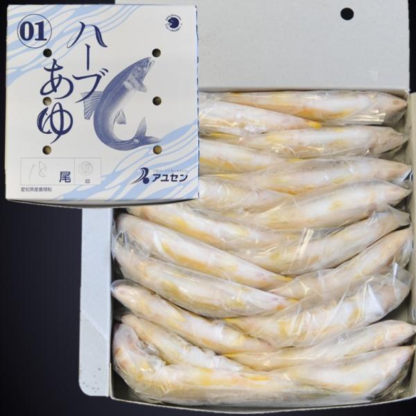 ハーブあゆ1級 1kg 18尾 X10ボール 霜降りのような身質 スイカの香り 愛知 養殖鮎 国産鮎 冷凍鮎