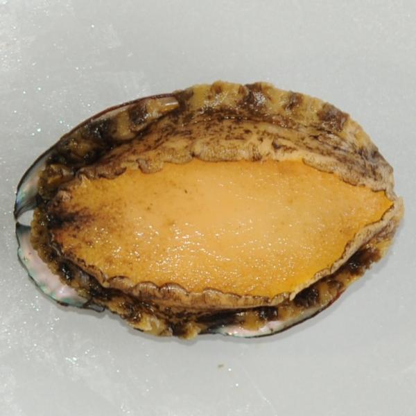 《商品説明》養殖エゾアワビを活きたまま工場に搬入し、旨味を閉じ込めるスチーム加工で仕上げました。身質がやわらかく食べやすい商品です。未開封状態で、室温もしくは冷蔵庫にて解凍してそのままお召し上がり頂けます。お好みで身の部分をスライスしてお召...