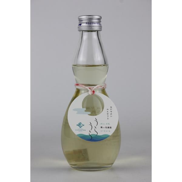 日本酒　早瀬浦　特別純米酒　うらうら　300ml