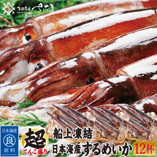 日本海 するめいか 12杯 バーベキューセット 海鮮 BBQセット 12杯 船凍イカ 冷凍便  爆買 お中元 父の日 ギフト