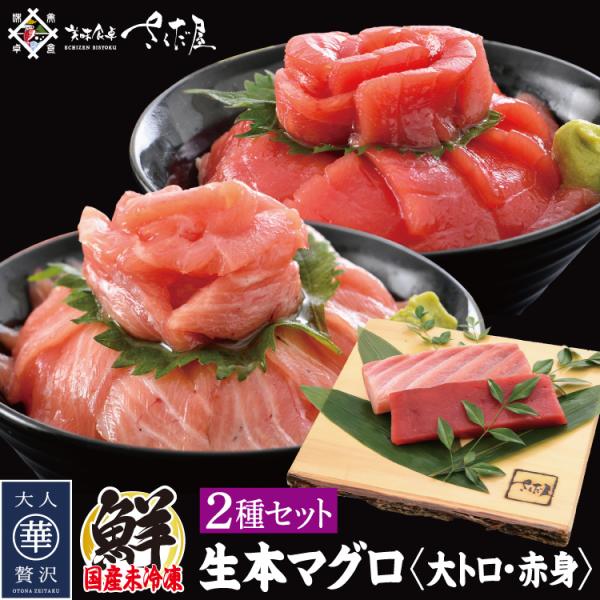 Y{}O g Ԑg v300gQZbg { hg Ⓚ ܂ CN 蕨  