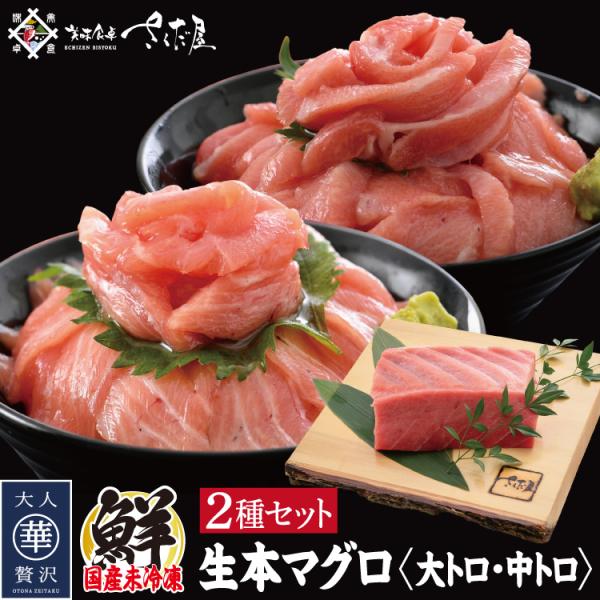 Y{}O g g v300gQZbg { hg Ⓚ ܂ CN 蕨  