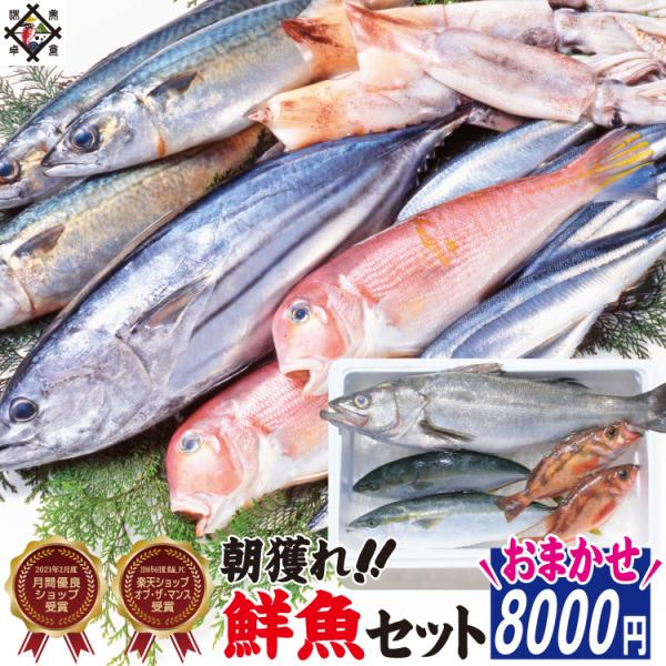 目利きが選ぶお得な鮮魚セット！◎内容量：３種以上◎原材料：鮮魚（福井県産）◎注意事項：■配送日時指定が無い場合、最短発送で対応させていただきます。●最短発送●※16時までのご注文→ご注文確認→翌営業日発送※16時以降のご注文→ご注文確認→翌...