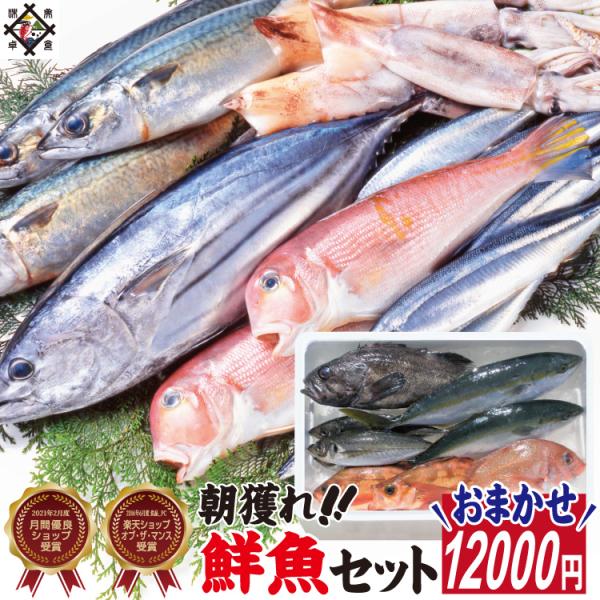 目利きが選ぶお得な鮮魚セット！◎内容量：３種以上◎原材料：鮮魚（福井県産）◎注意事項：■配送日時指定が無い場合、最短発送で対応させていただきます。●最短発送●※16時までのご注文→ご注文確認→翌営業日発送※16時以降のご注文→ご注文確認→翌...