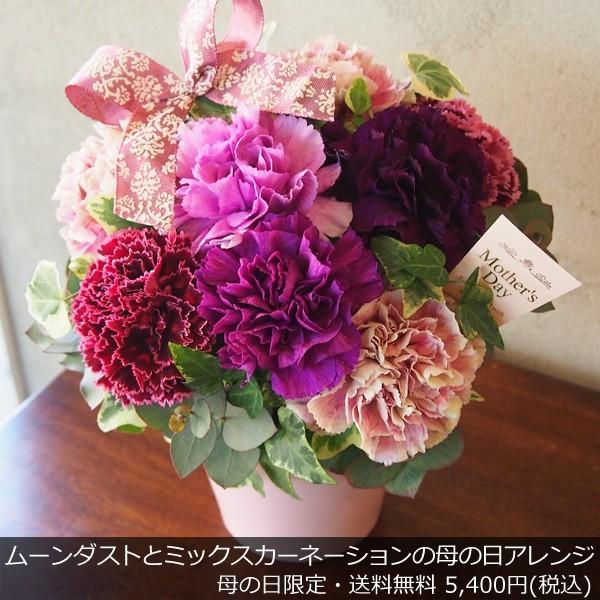 母の日 ムーンダスト カーネーションと大輪カーネーションの大人可愛いミックスアレンジ Moondust Box Y お花屋さんの手帳 通販 Yahoo ショッピング