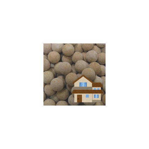 銀イオンセラミックボール [部屋用] 100g Version2.3