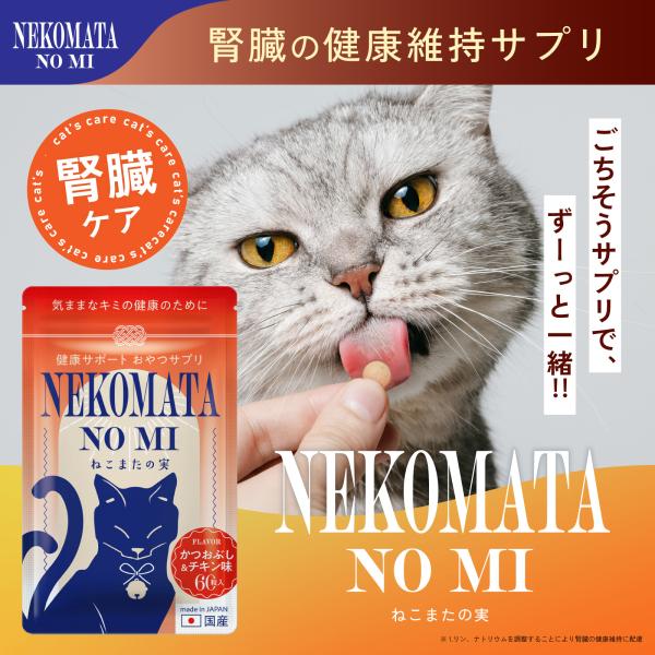猫 ねこ ネコ 腎臓 サプリ シャンピニオンエキス ラクティウム 便臭 ストレス ケア インドール 対策 ねこまたの実 2袋 さくらの森