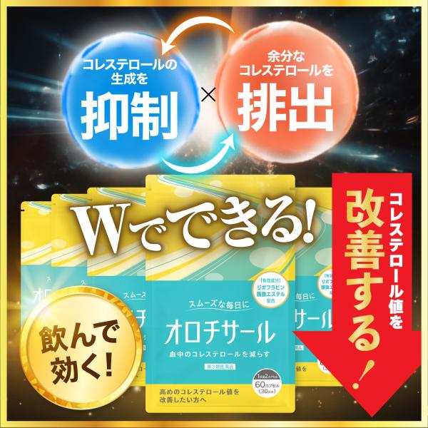 ●名称血清高コレステロール改善薬●全成分【2カプセル×30日?（30日分）】リボフラビン酪酸エステル（ビタミンB2）60mg●添加物として定置換度ヒドロキシプロピルセルロース、ヒドロキシプロピルセルロース、乳糖水和物、タルクを含有またカプセ...