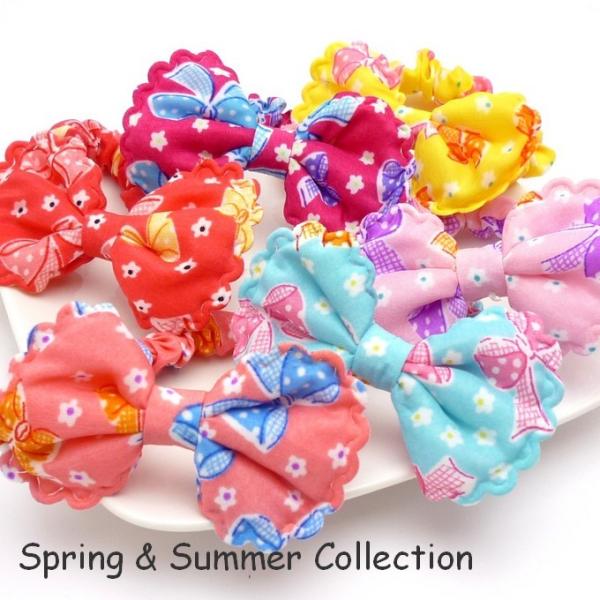 wAS { LbY xr[ VV  wAANZT[  hg-048