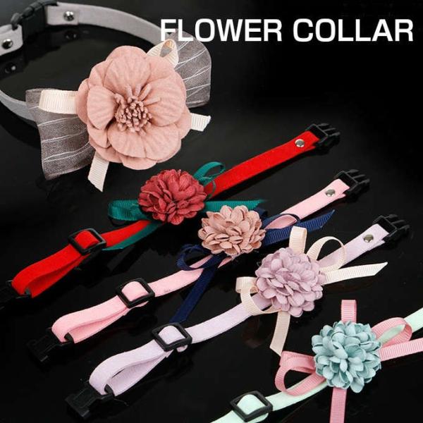   RT[W {t  L ybg ^ ^ [h U  pw-026