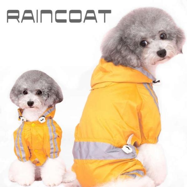 ybgp CR[g ˔t Jbp J CG[ pw-028