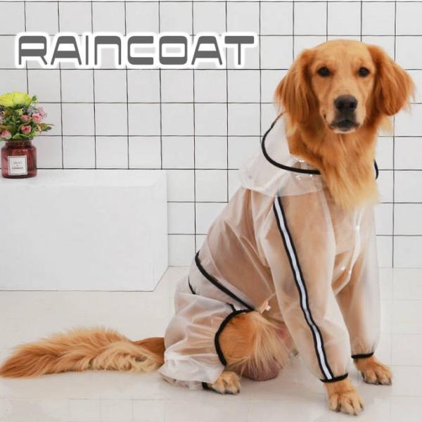  CR[g Jbp ˔t J  pw-031