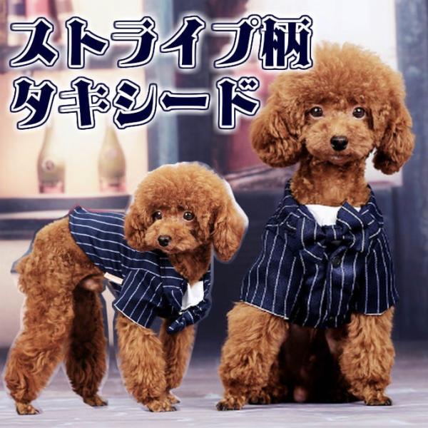   hbNEFA RXv ^LV[h nEB X[c tH[} ^ ^ pw-04