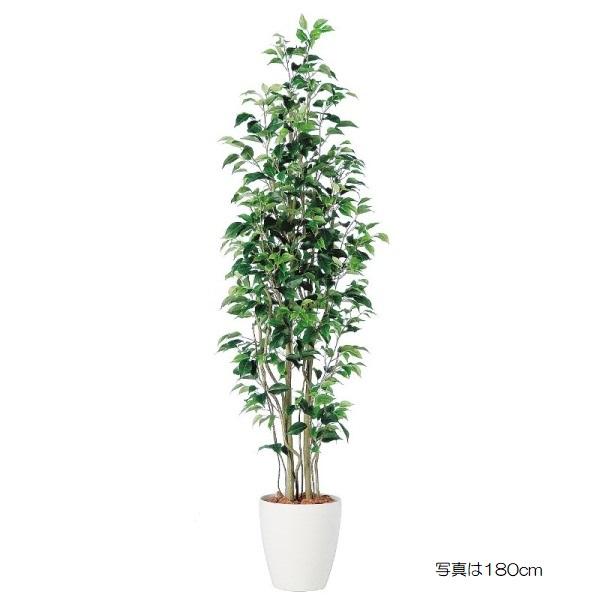 人工観葉植物 ベンジャミンスリム FST 150cm 高さ150cm （P233 