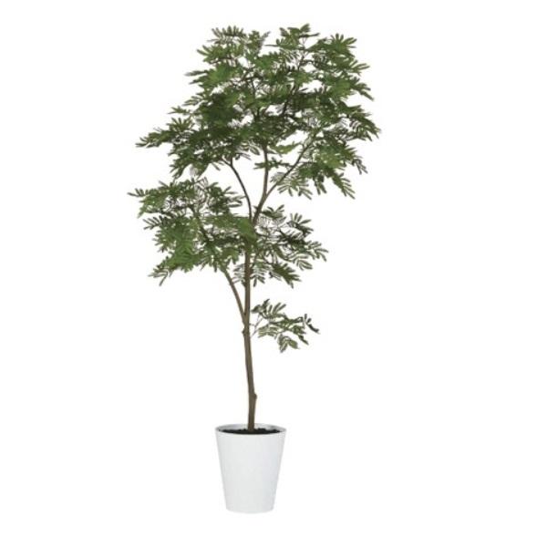 人工観葉植物 エバーフレッシュ FST 180cm 高さ180cm （P232 