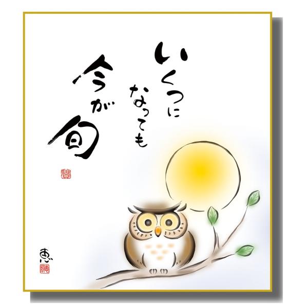 sakura-soleil_kk-m5-11-k6060