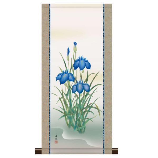 和風モダン掛 現代日本画 夏花鳥 菖蒲 KM3R2-033 : さくらソレイユ