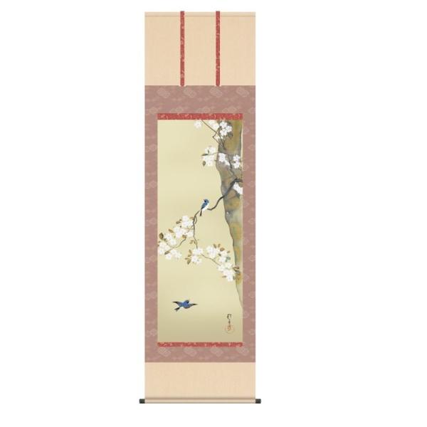 掛軸 酒井抱一 桜に小禽図 さくらにしょうきんず 尺五 KZ3G9-092