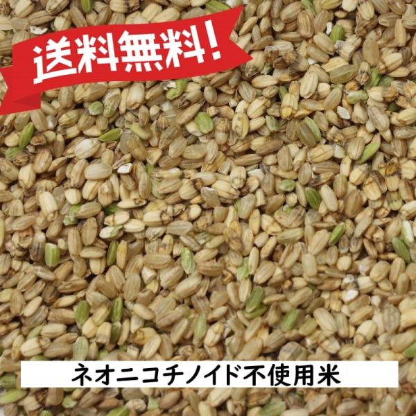 令和7年産 キヌヒカリ 兵庫県産 小米 Mirakana ネオニコチノイド不使用米 玄米0.5kg・0.9kg・2kg・5kg・10kg・30kg 鳥の餌 小鳥のえさ