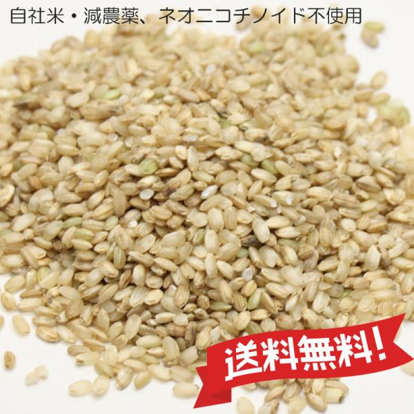 くず米 青米 山田錦 令和6年産 兵庫県産 減農薬 ネオニコチ くず米 青米 山田錦 令和6年産 兵庫県産 減農薬 ネオニコチ