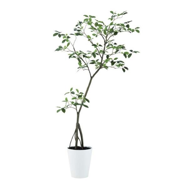 人工観葉植物 ガジュマル FST 180 ポット付き 高さ180cm （P51