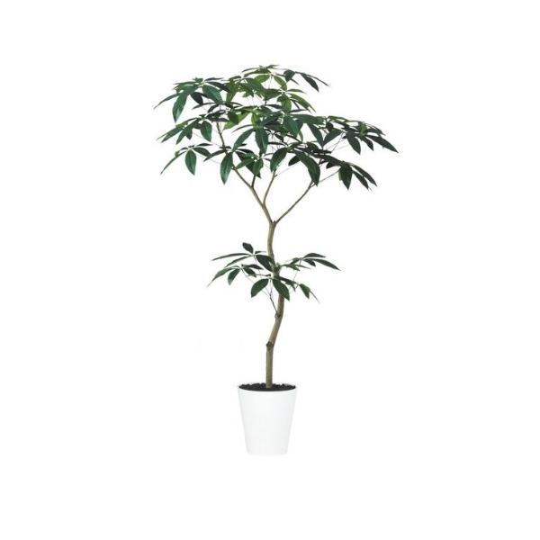 人工観葉植物 約160cm 位　ツイスト幹 人工観葉植物 約160cm 位 ツイスト幹