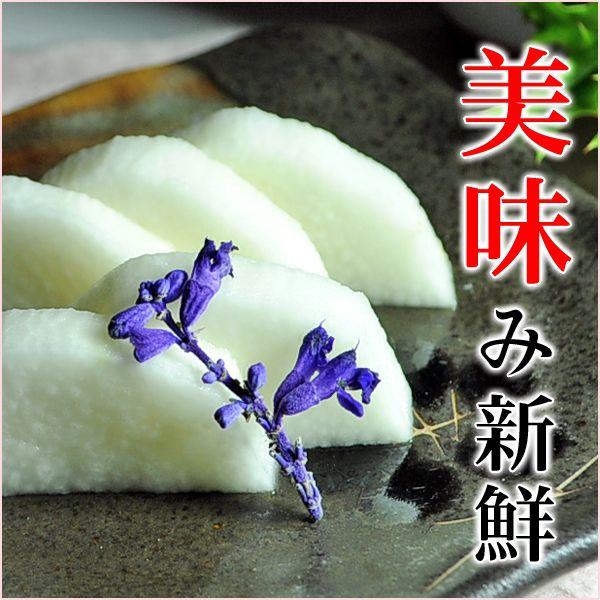 Е Ђ 킳ђ | 蕗 ܖЂ Ђ /apB \Ԏ