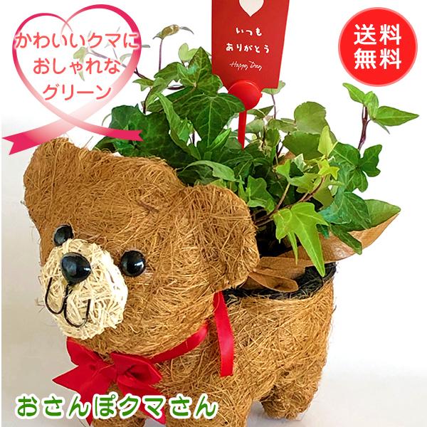 母の日 観葉植物 花 ギフト プレゼント アイビー 寄せ植え おさんぽクマさん Sakura Story Osk 吉野桜物語 通販 Yahoo ショッピング