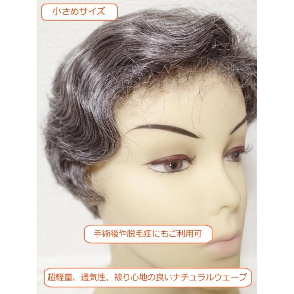 フルウィッグ ショート ミセスウィッグ 直営ストア 白髪40 入り ウェーブ Hm2an