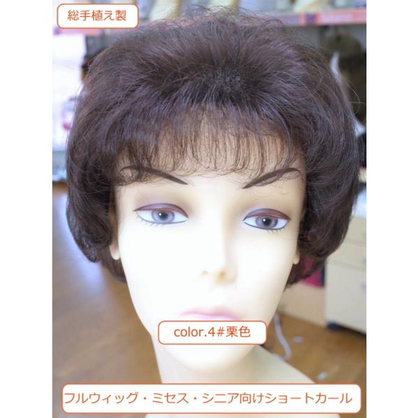 ウィッグ ショート ミセスウィッグ 総手植え製 Hm33s Anguloyasociados Com