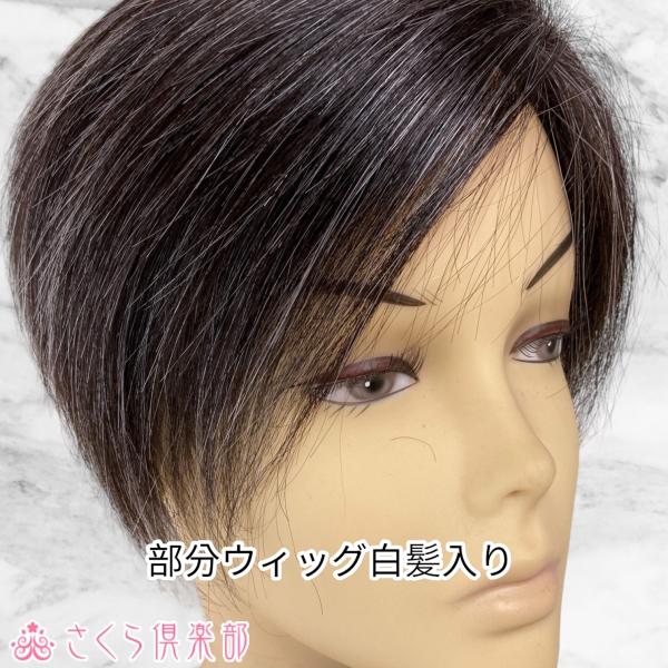 部分ウィッグ 人毛100 白髪 総手植え製 左分け Lサイズ Top 104s Top 104s 人毛部分ウィッグ通販さくら倶楽部 通販 Yahoo ショッピング
