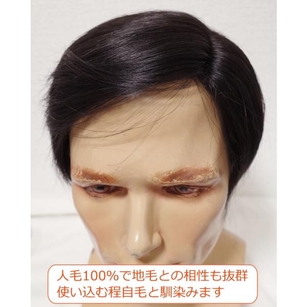 部分ウィッグ メンズ 部分かつら 人毛100 左分け ｌサイズ Top Dx2t 部分かつら メンズ 左分け Top Dx2t M 人毛部分ウィッグ通販さくら倶楽部