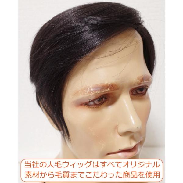 部分ウィッグ メンズ 部分かつら 人毛100 左分け ｌサイズ Top Dx2t 部分かつら メンズ 左分け Top Dx2t M 人毛部分ウィッグ通販さくら倶楽部