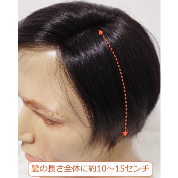 部分ウィッグ メンズ 部分かつら 人毛100 左分け ｌサイズ Top Dx2t 部分かつら メンズ 左分け Top Dx2t M 人毛部分ウィッグ通販さくら倶楽部