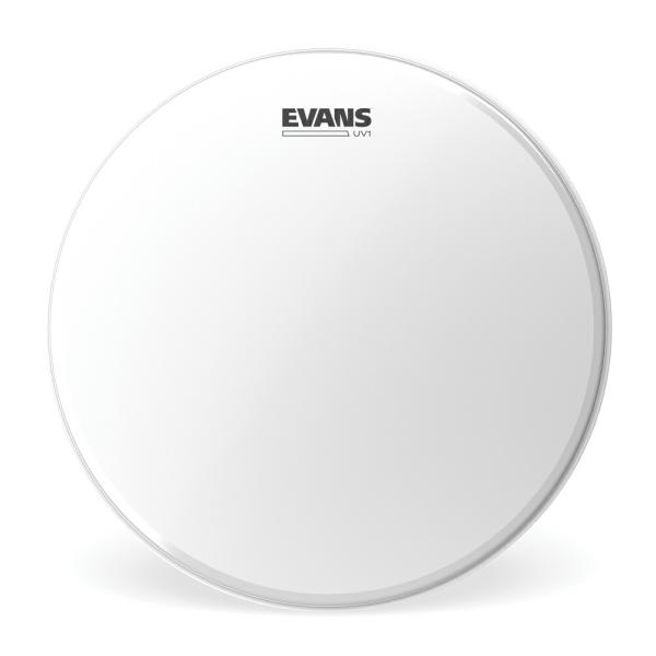 EVANS �G���@���X �h�����w�b�h UV1 Coated Bass BD20UV1 20�C���`��