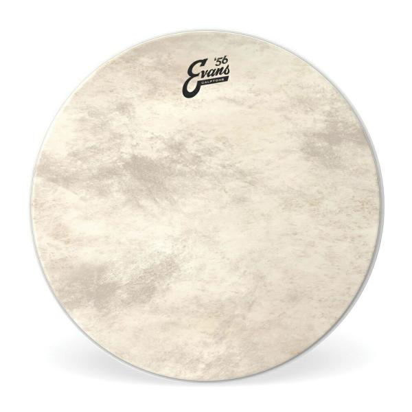 EVANS �G���@���X �h�����w�b�h Calftone Bass BD22CT 22�C���`��