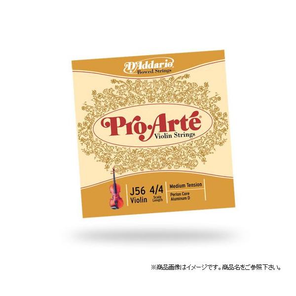 D'Addario __I oCI J56 ProArtekdaddariolk䂤pPbgΉl