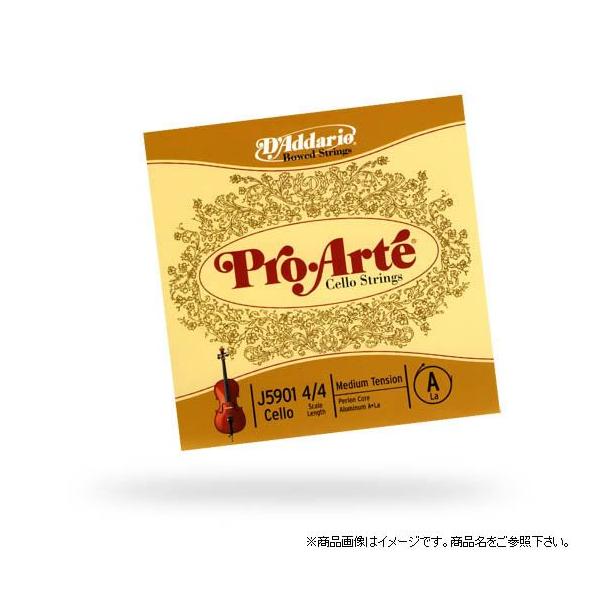 D'Addario __I `F J5903T 4/4 ProArtek3rd-G tungsten/silverlkdaddariolk䂤pPbgΉl
