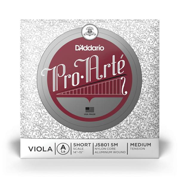 D'Addario BI J5801 SM PROARTE A o V[gXP[ ~fBAeVkdaddario __I rIlk䂤pPbgΉl