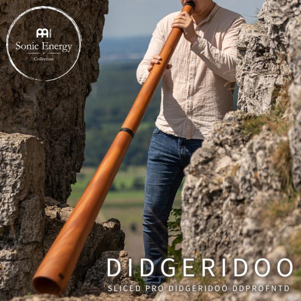 ディジュリドゥ 61S+6J40VgL._AC_UL210_SR210,