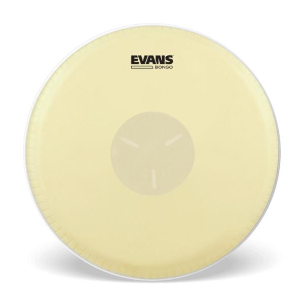 EVANS ボンゴ ヘッド  EB07/7 1/4