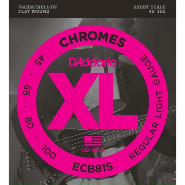 D'Addario __I x[X ECB81S "XL Chromes Flat Wound"kdaddario ecb-81slk䂤pPbgΉl