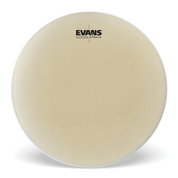 EVANS �G���@���X Strata �e�B���p�j�w�b�h 31-1/2" EST3150��