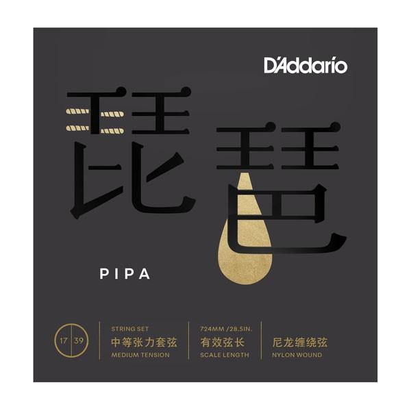 D'Addario __I i PIPA-01kdaddario PIPA01lk䂤pPbgΉl