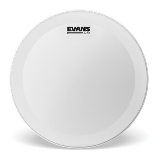 EVANS �G���@���X MS3 Polyester �}�[�`���O�X�l�A�T�C�h 13" SS13MS3C��