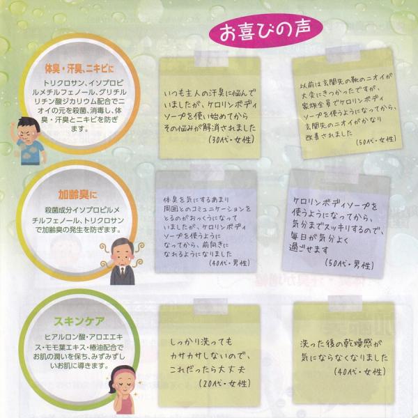 ケロリン ボディソープ くすり屋さんがつくった 薬用ボディソープ ケロリン入浴シリーズ ボトル 詰替セット お買い得 C111 さくら医薬品ストア 通販 Yahoo ショッピング