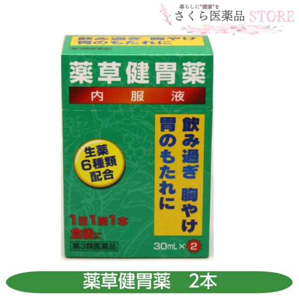 田村薬品工業 【第3類医薬品】薬草健胃薬内服液 2本入 飲みすぎ 胸やけ