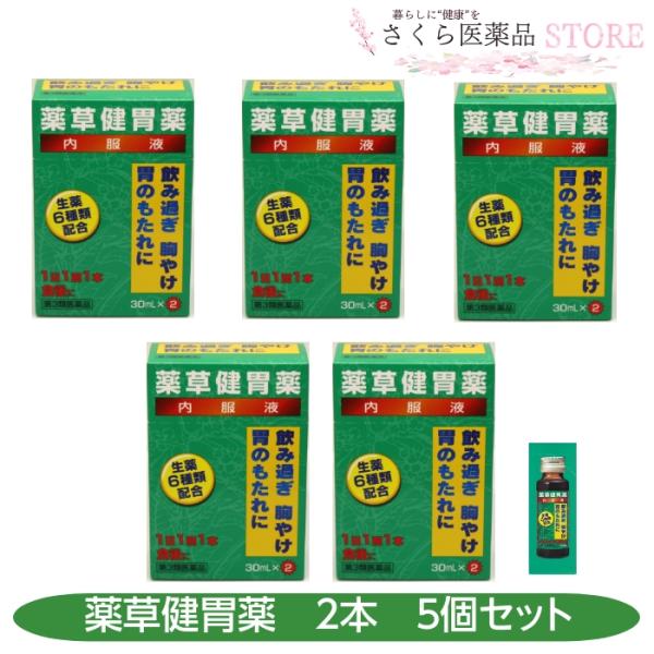 田村薬品工業 【第3類医薬品】薬草健胃薬内服液 2本入 5箱セット 飲み