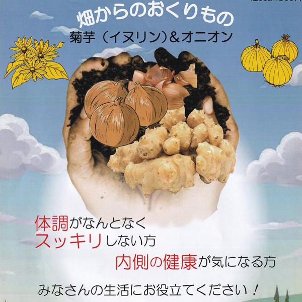 畑からのおくりもの」180粒 菊芋イヌリン＆オニオン ケルセチン 難消化